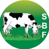 Suduubaba Foundation Logo